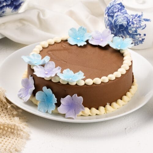 Design Cake - Chocolate (DC-C-008)