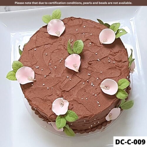 Design Cake - Chocolate (DC-C-009)