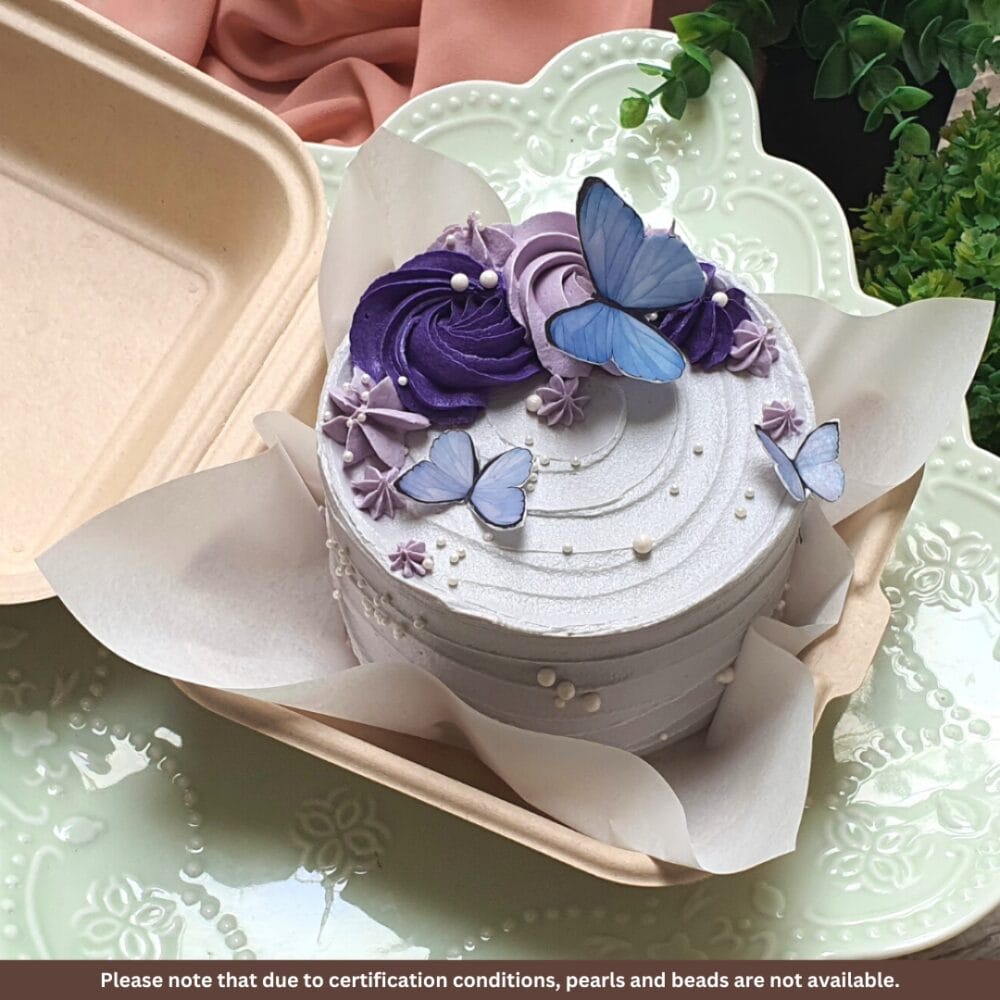 Bento Cake - BC-R-005