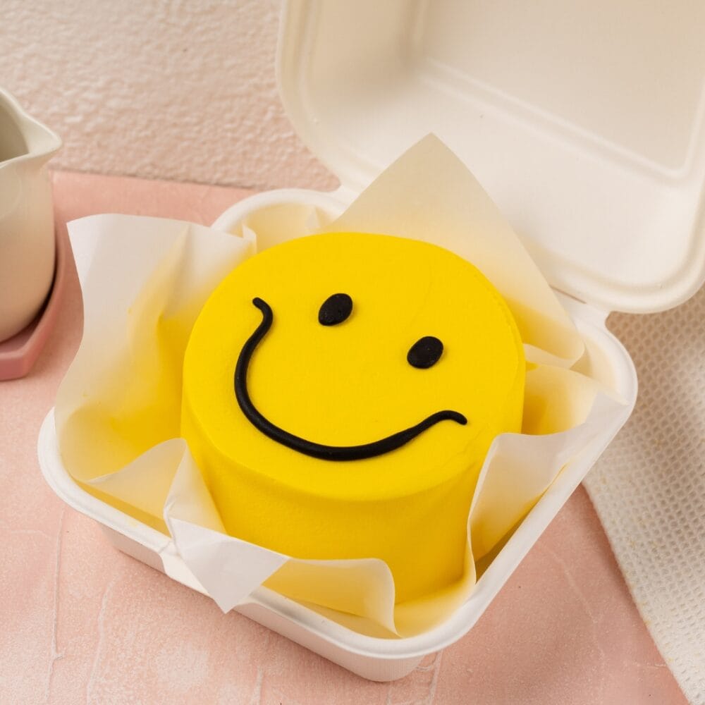 Bento Cake - BC-R-020